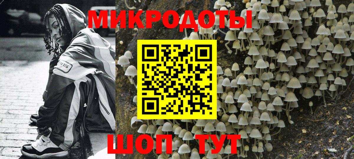 Галлюциногенные грибы GOLDEN TEACHER  Вход с VPN  Свободный  Галлюциногенные грибы ЛСД 