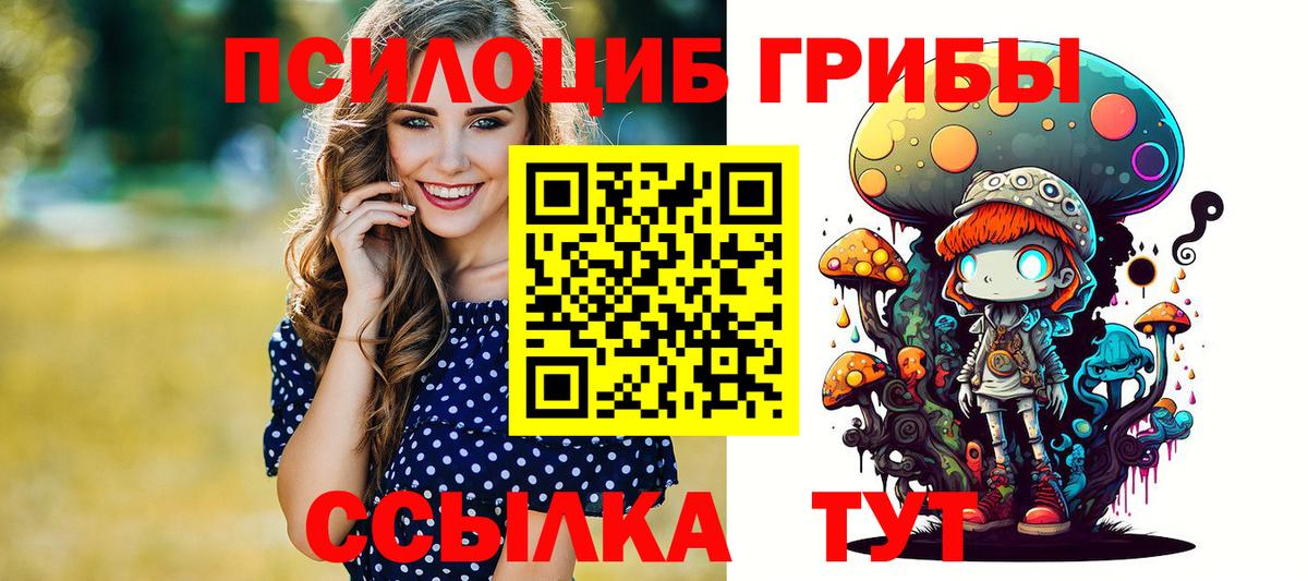 Псилоцибиновые грибы Psilocybe Свободный
